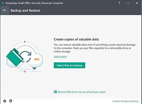 Kaspersky Small Office Security PC , Mobile , Win os Server